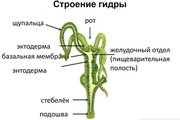 Впн для кракена
