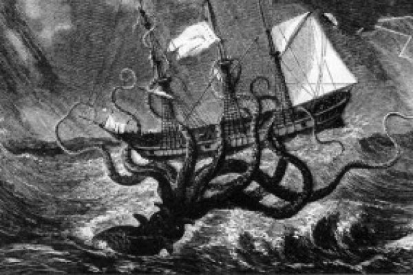 Hydra kraken