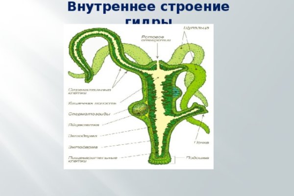 Магазин кракен даркнететамбов